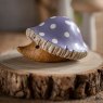 DCUK DCUK Toadstool Hedglet