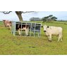 IAE IAE Classic H/D Calf Creep Feeder w/ Lifting Frame