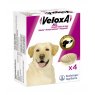 Boehringer Ingelheim Veloxa Xl Dog - 4 Tablets - Short Dated